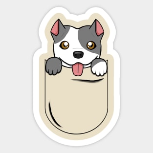 Pitbull in a Pocket Sticker